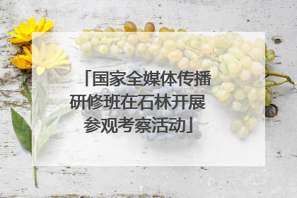 国家全媒体传播研修班在石林开展参观考察活动