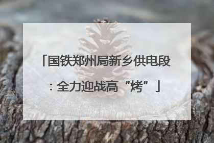 国铁郑州局新乡供电段：全力迎战高“烤”