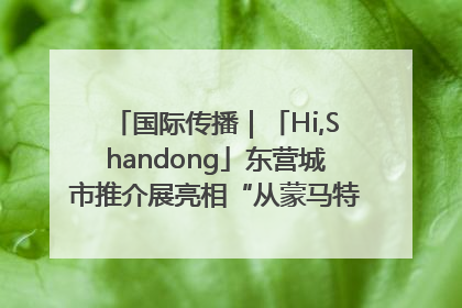 国际传播｜「Hi,Shandong」东营城市推介展亮相“从蒙马特到加里波第”文化节