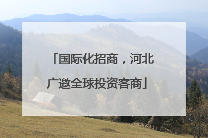 国际化招商，河北广邀全球投资客商