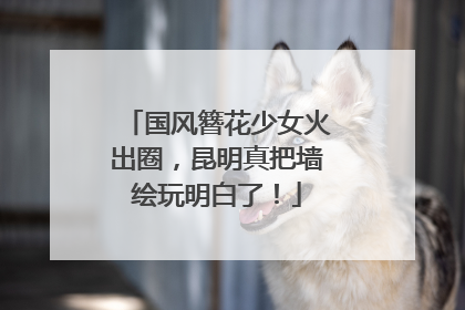 国风簪花少女火出圈，昆明真把墙绘玩明白了！