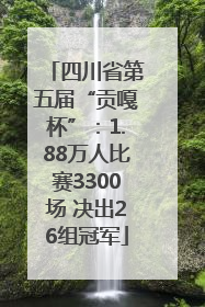 四川省第五届“贡嘎杯”：1.88万人比赛3300场 决出26组冠军