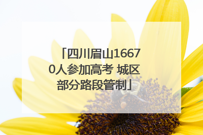 四川眉山16670人参加高考 城区部分路段管制