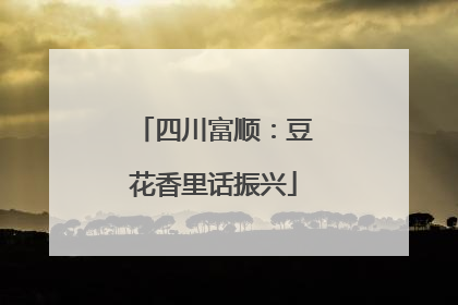 四川富顺：豆花香里话振兴