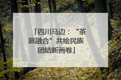 四川马边：“茶旅融合”共绘民族团结新画卷