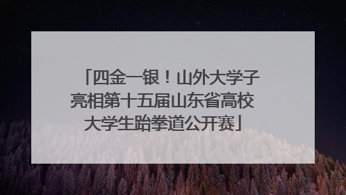 四金一银！山外大学子亮相第十五届山东省高校大学生跆拳道公开赛