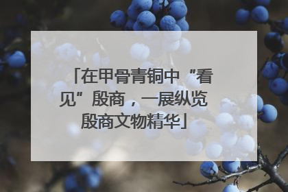 在甲骨青铜中“看见”殷商，一展纵览殷商文物精华