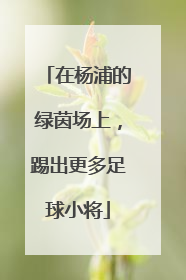 在杨浦的绿茵场上，踢出更多足球小将