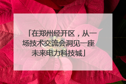 在郑州经开区，从一场技术交流会洞见一座未来电力科技城