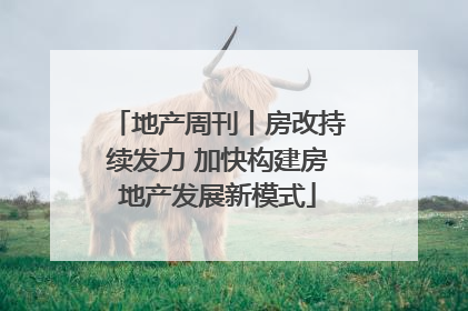地产周刊丨房改持续发力 加快构建房地产发展新模式
