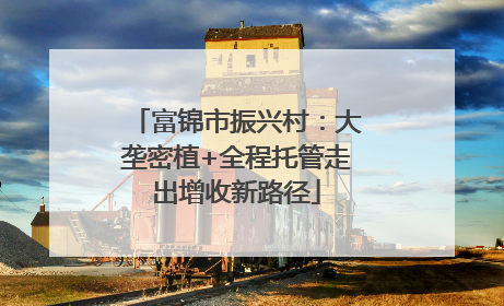 富锦市振兴村：大垄密植+全程托管走出增收新路径