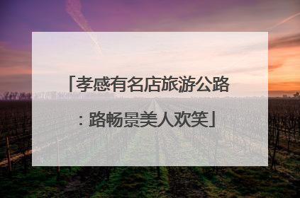 孝感有名店旅游公路：路畅景美人欢笑