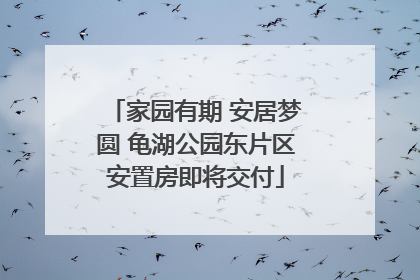 家园有期 安居梦圆 龟湖公园东片区安置房即将交付