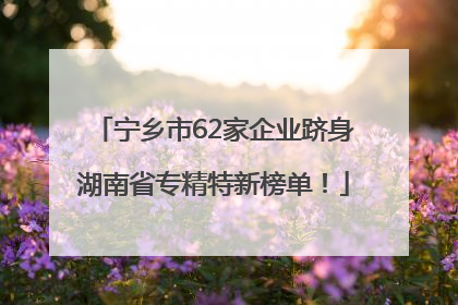 宁乡市62家企业跻身湖南省专精特新榜单！