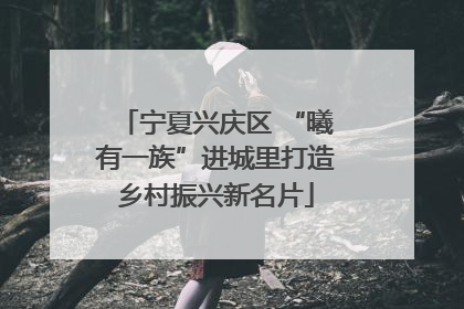 宁夏兴庆区 “曦有一族”进城里打造乡村振兴新名片