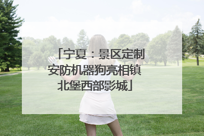 宁夏：景区定制安防机器狗亮相镇北堡西部影城