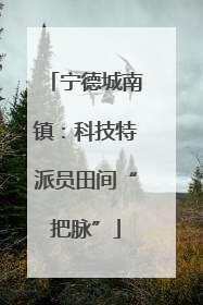 宁德城南镇：科技特派员田间“把脉”