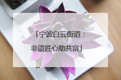 宁波白云街道：非遗匠心助共富