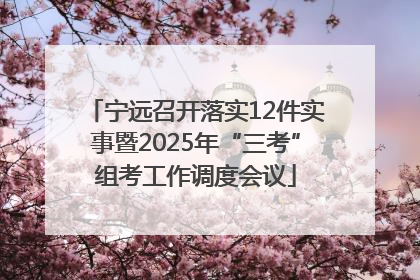 宁远召开落实12件实事暨2025年“三考”组考工作调度会议