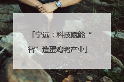 宁远：科技赋能“智”造蛋鸡鸭产业