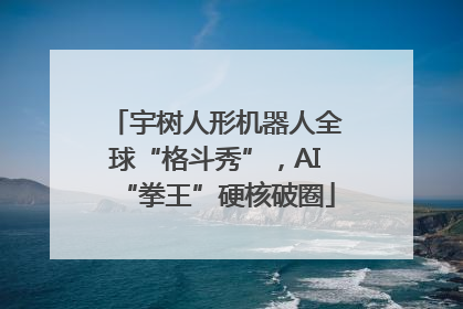 宇树人形机器人全球“格斗秀”，AI“拳王”硬核破圈