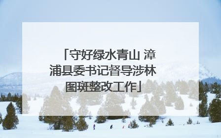 守好绿水青山 漳浦县委书记督导涉林图斑整改工作