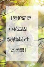 守护淄博市花基因 织就城市生态盛景