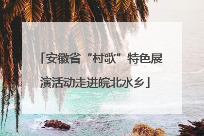 安徽省“村歌”特色展演活动走进皖北水乡