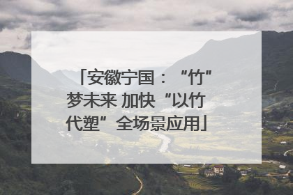 安徽宁国：“竹”梦未来 加快“以竹代塑”全场景应用