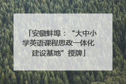 安徽蚌埠：“大中小学英语课程思政一体化建设基地”授牌