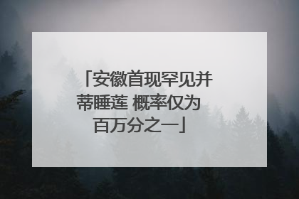 安徽首现罕见并蒂睡莲 概率仅为百万分之一