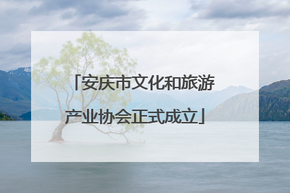 安庆市文化和旅游产业协会正式成立
