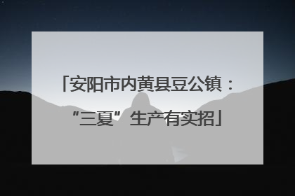 安阳市内黄县豆公镇：“三夏”生产有实招