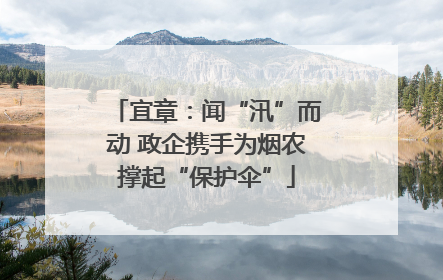 宜章：闻“汛”而动 政企携手为烟农撑起“保护伞”