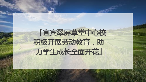 宜宾翠屏草堂中心校积极开展劳动教育，助力学生成长全面开花