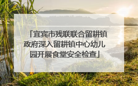 宜宾市残联联合留耕镇政府深入留耕镇中心幼儿园开展食堂安全检查