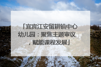 宜宾江安留耕镇中心幼儿园：聚焦主题审议，赋能课程发展