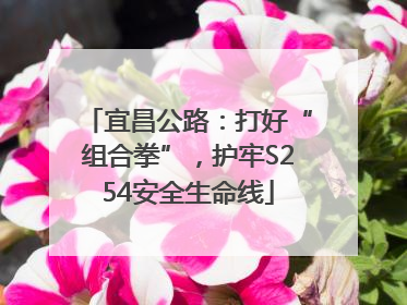 宜昌公路：打好“组合拳”，护牢S254安全生命线