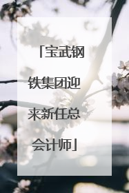 宝武钢铁集团迎来新任总会计师