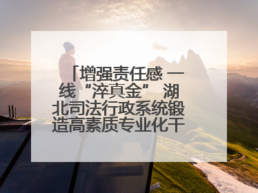 增强责任感 一线“淬真金” 湖北司法行政系统锻造高素质专业化干警队伍