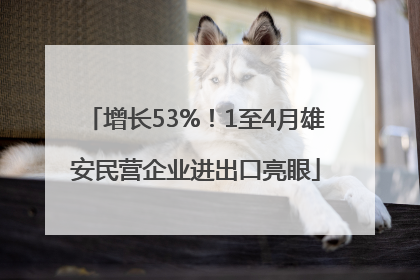 增长53%！1至4月雄安民营企业进出口亮眼