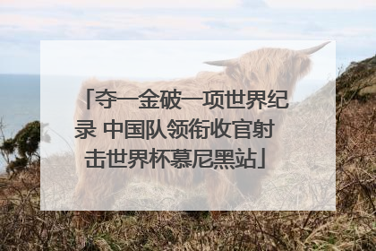 夺一金破一项世界纪录 中国队领衔收官射击世界杯慕尼黑站