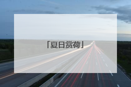 夏日赏荷