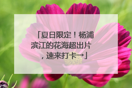夏日限定！杨浦滨江的花海超出片，速来打卡→