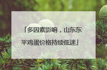 多因素影响，山东东平鸡蛋价格持续低迷