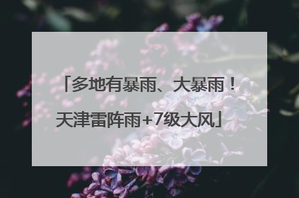 多地有暴雨、大暴雨！天津雷阵雨+7级大风
