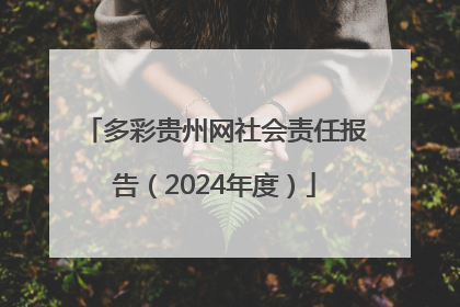 多彩贵州网社会责任报告（2024年度）