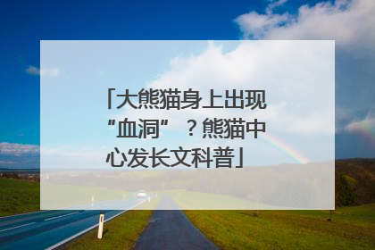 大熊猫身上出现“血洞”？熊猫中心发长文科普