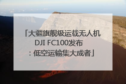 大疆旗舰级运载无人机DJI FC100发布：低空运输集大成者