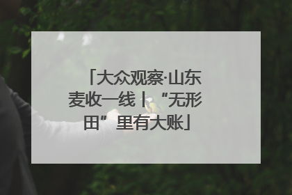 大众观察·山东麦收一线丨“无形田”里有大账